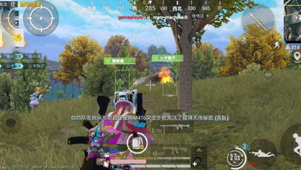 玩家社区对和平精英辅助软件的看法调查